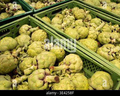 Eine große Ernte frischer, grüner Artischocken aus biologischem Anbau, verpackt in grünen Kunststoffkisten zum Verkauf. Diese Hochwinkelaufnahme steht für Landwirtschaft, gesunde Ernährung Stockfoto