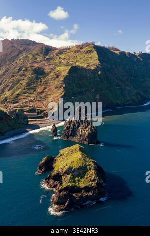 Praia da Ribeira da Janela, Madeira, mit ikonischen Meeresstapeln, vulkanischen Felsen und türkisfarbenem Atlantikwasser entlang einer wilden Küste. Stockfoto