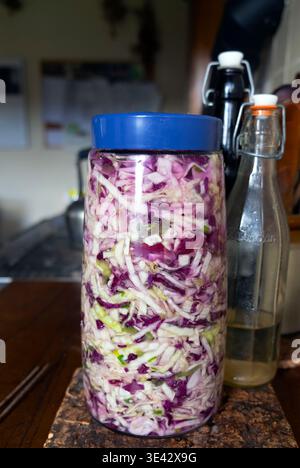 Rotkohl Nahaufnahme Sauerkraut Fermentieren in Fermentation Kilner Glas in einer Wohnküche Essen für Darmgesundheit Wales UK KATHY DEWITT Stockfoto