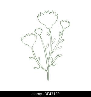 Eine einfache grüne Linienzeichnung zeigt eine einzelne Blumenpflanze mit mehreren Blüten und kleinen Blättern auf einem weißen Hintergrund. Stock Vektor