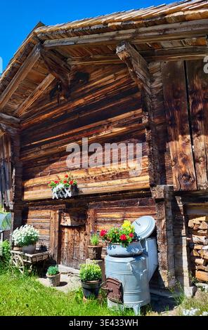 Alte hölzerne Almhütte mit verwittertem verbranntem Holz und charmanter Blumendekoration in einer traditionellen Milchkanne und Schweizer Handwerkskunst, Berner Oberland. Stockfoto