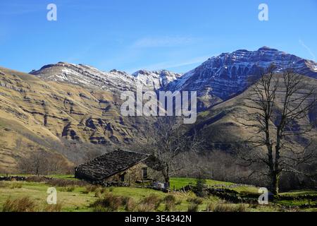 Das Bild zeigt ein kleines Haus inmitten eines Feldes, umgeben von Bäumen, Pflanzen und Gras, mit schneebedeckten Bergen im Hintergrund und einer Clea Stockfoto