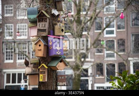 Verschiedene Vogelhäuser stehen auf einem Baum in einer Stadt. Städtische Umgebung zeigt Gebäude im Hintergrund. Vogelnester aus Holz Stockfoto