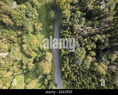 Ein Luftbild fängt eine wunderschön gewundene Straße ein, die elegant von lebhaften und üppigen Wäldern umgeben ist Stockfoto