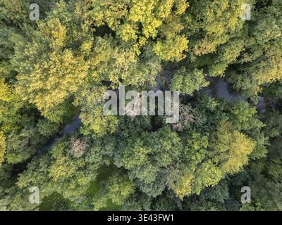 Bergnicourt, Rethel, Ardennes, Grand-Est, Frankreich, August, 28. August 2025, dieser atemberaubende Blick aus der Vogelperspektive auf einen farbenfrohen Wald hebt tiefes Grün und den Herbst hervor Stockfoto