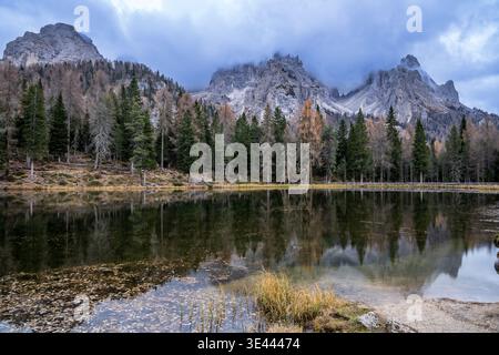 Panoramablick auf den Antornosee in den Dolomiten mit Spiegelspiegelung der Gipfel der Cadini di Misurina und des Nadelwaldes ruhiges Wasser mit Blättern und g Stockfoto