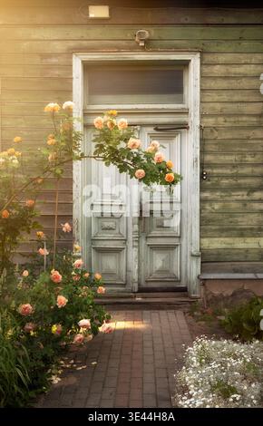 Schöne Vintage Holz Doppeltür eines alten grünen Hauses, eingerahmt von blühenden rosa Rosen an einem sonnigen Sommertag in Lettland Stockfoto