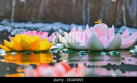 Bunte Plastik-Lotusblumen, die auf einem Teich in Vietnam schwimmen Stockfoto