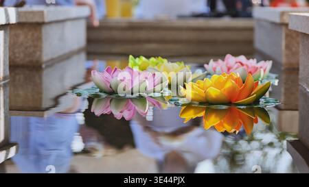 Farbenfrohe künstliche Seerosen, die in einem Steinteich mit Reflexionen schwimmen Stockfoto