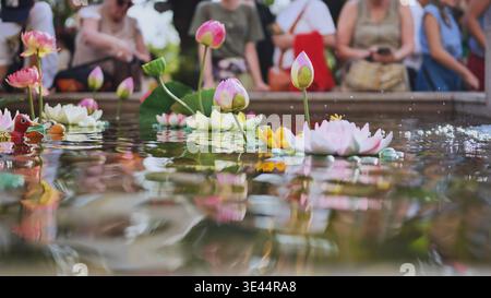 Bunte Lotusblüten aus Plastik und Spielzeugenten, die im Vietnam-Teich schwimmen Stockfoto
