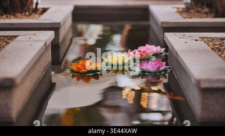 Farbenfrohe Plastiklilien, die während der Vietnamtage in einem Teich in Moskau schwimmen Stockfoto