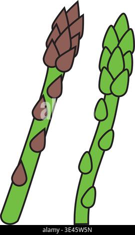 Spargel (Spargel officinalis) Monoline Vektor handgezeichnete Illustration Set isoliert Stock Vektor