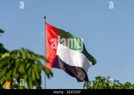 Nahaufnahme der Flagge der VAE auf einem hohen Fahnenmast mit üppig grünem Laub im Vordergrund. Stockfoto