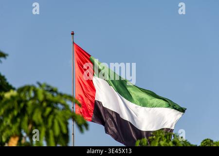 Nahaufnahme der Flagge der VAE auf einem hohen Fahnenmast mit üppig grünem Laub im Vordergrund. Stockfoto