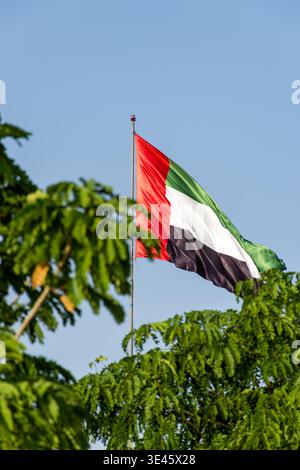 Nahaufnahme der Flagge der VAE auf einem hohen Fahnenmast mit üppig grünem Laub im Vordergrund. Stockfoto