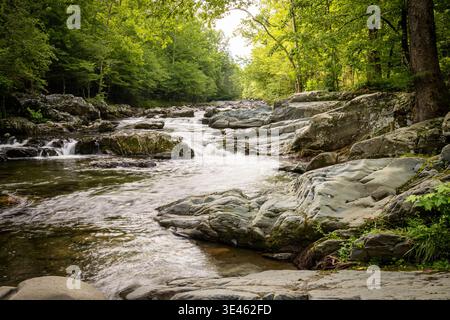 Blick auf einen rauschenden Fluss, der über glatte, graue Felsen, eingerahmt von üppigen grünen Bäumen in einem lebhaften Wald, Gatlinburg, Tennessee, USA. Stockfoto