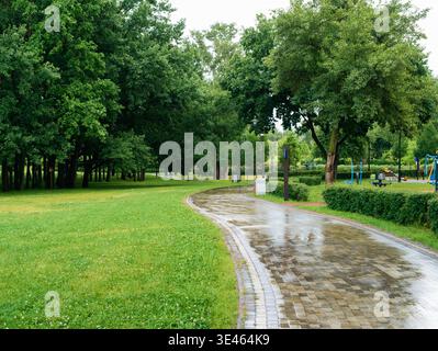 Breiter, nasser Kopfsteinpflasterweg, der nach Regen durch einen grünen Park mit frischem Gras, Bäumen und reflektierendem Steinpflaster führt. Natur im Freien Stockfoto