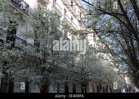 Paisaje en madrid Stockfoto