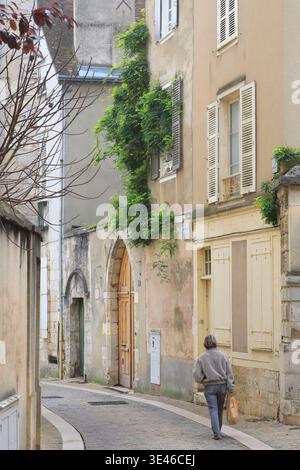 Frankreich, Eure et Loir, Chartres, Fußgängerzone in der Altstadt Stockfoto