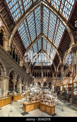 Vereinigtes Königreich, County of Oxfordshire, Oxford, Oxford University Museum of Natural History Stockfoto