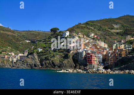 Lebendige, farbenfrohe Häuser stürzen sich über eine Klippe in Cinque Terre, Italien, und bilden eine malerische Küstendörfenszene mit grünen Fensterläden, schmalen Terrassen, hellen Fassaden und einem tiefblauen mediterranen Himmel. Stockfoto