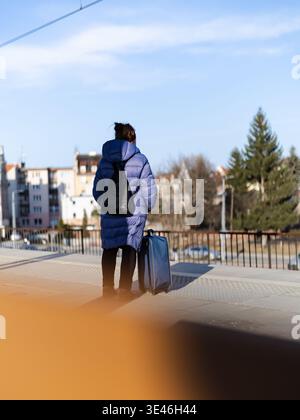 Frau mit Gepäck auf dem Bahnsteig Stockfoto