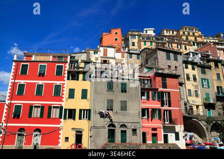 Lebendige, farbenfrohe Häuser stürzen sich über eine Klippe in Cinque Terre, Italien, und bilden eine malerische Küstendörfenszene mit grünen Fensterläden, schmalen Terrassen, hellen Fassaden und einem tiefblauen mediterranen Himmel. Stockfoto