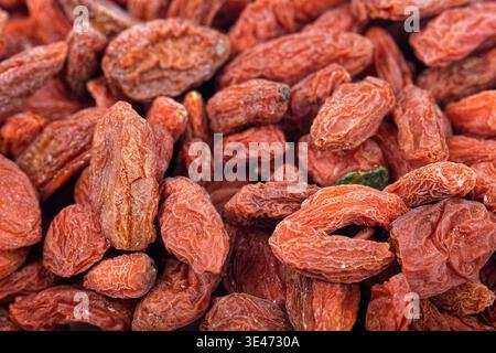 Chinesische Wolfsbeere, Ehebrübe, berberei Ehebrübe, rote Medlar, Herzog von Argyll's Teebaum (Lycium barbarum), getrocknete Goji-Beeren Stockfoto