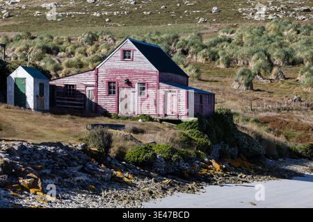 Verwittertes Holzgebäude am Strand, West Point Island, West Falkland, Falkland Islands Stockfoto