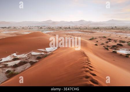 Rote Sanddünen mit Fußspuren in der Namib-Wüste im Namib-Naukluft-Nationalpark in Namibia, Afrika. Landschaftsfotografie Stockfoto