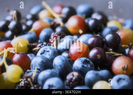 Nahaufnahme von Heidelbeeren, Stachelbeeren und Maulbeeren gemischt. Frische Sommerbeeren, natürliche Textur, Bio-Agrarprodukte Stockfoto