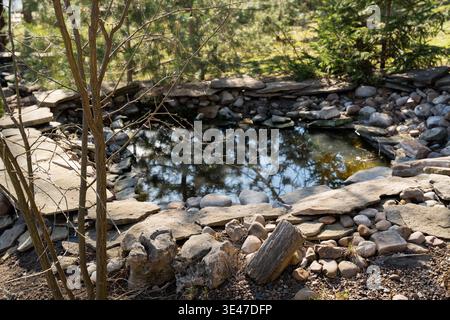 Kleiner dekorativer Teich in einem Zoopark, umgeben von Natursteinen und Bäumen mit Wasserspiegelung, die eine ruhige, friedliche Gartenlandschaft im Freien schaffen. Stockfoto
