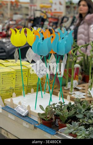 Burgas, Bulgarien - 24. März 2026: Farbenfrohe Tulpendekorationen aus Kunststoff in Gelb, Orange und Blau werden neben Sukkulenten in einem Retai ausgestellt Stockfoto