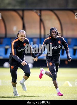 ZEIST - Xavi Simons und Jeremie Frimpong während eines Trainings der niederländischen Nationalmannschaft in der Woche vor dem Freundschaftsspiel gegen Norwegen. ROBIN VAN LONKHUIJSEN / ANP Stockfoto