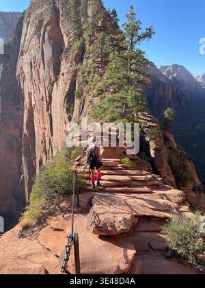 Wandern Sie auf einem schmalen Bergpfad mit Ketten und dramatischen Aussichten auf den Canyon, Angels Landing, Zion National Park, Utah, USA Stockfoto