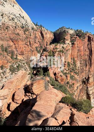 Wandern Sie auf einem schmalen Bergpfad mit Ketten und dramatischen Aussichten auf den Canyon, Angels Landing, Zion National Park, Utah, USA Stockfoto