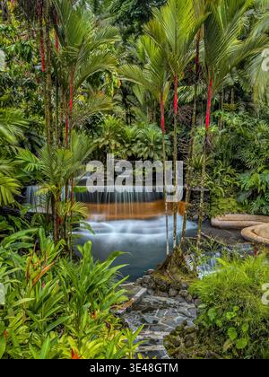 Tropische Wasserfallbecken umgeben von üppigem Regenwald an den heißen Quellen von Tabacón nahe dem Vulkan Arenal, Costa Rica. Stockfoto
