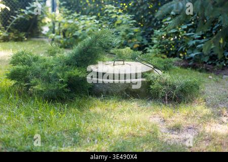 Abdeckung der Klärgrube im Garten. Stockfoto