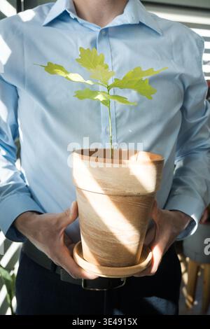 Wachstum in Wirtschaft, Ökologie und Wirtschaft, ein Mann hält einen Topf mit einem jungen Eichensämling. Stockfoto