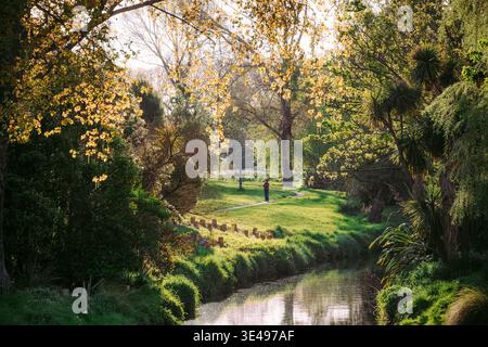 Christchurch, Neuseeland: Die Person steht auf gewundenen Pfaden durch einen üppig grünen Park mit Fluss, goldenem Nachmittagssonnenlicht und Herbstlaub. Stockfoto