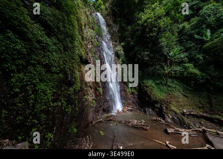 Blick auf einen Wasserfall, der von einer moosigen Felswände in einen kleinen Pool stürzt, umgeben von dichter tropischer Vegetation und einem hölzernen Fußweg Sao Tome und Princ Stockfoto
