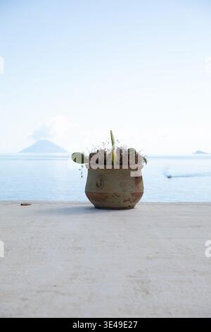 Blick auf einen rustikalen Terrakotta-Topf mit grünen Pflanzen auf einer weißen Terrasse mit Blick auf das Meer und den Vulkan Stromboli in Salina, Sizilien, Italien. Stockfoto