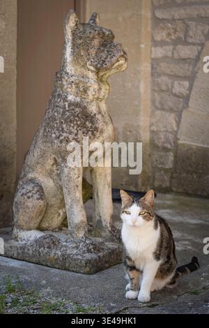 Eine Tabbykatze, die neben einer Statue eines Hundes im Innenhof eines Steinhauses in Südfrankreich sitzt Stockfoto