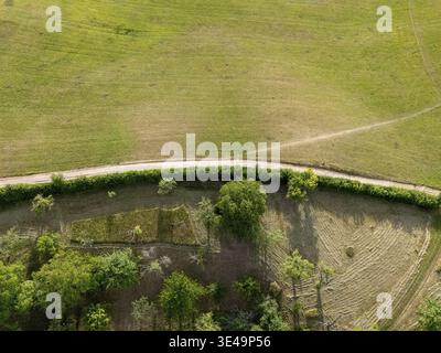 Luftaufnahme mit grünem Weideland, trockenem Feld und kurviger Schotterstraße Stockfoto