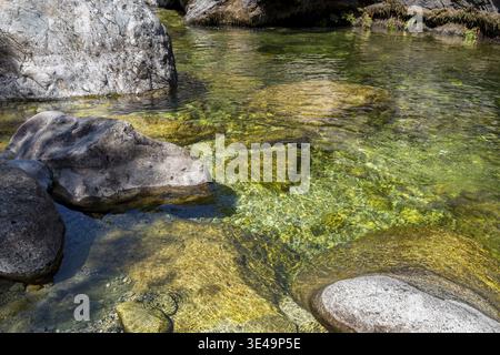 Sauberes Bachwasser fließt sanft über verschiedene Felsen und Kieselsteine in Venaco, Korsika, Frankreich Stockfoto