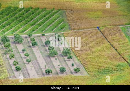 Luftaufnahme mit organisierter Kultivierung mit grünen Obstgärten, Bäumen und goldenen Maisfeldern, frankreich Stockfoto