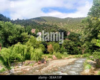 Eleganter Blick auf das Ourika-Tal, wo sich ein klarer Fluss durch üppiges Grün und Berghänge schlängelt. Eine lebhafte und ruhige marokkanische Landschaft Stockfoto
