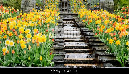 Blumengarten mit gelben und roten Blüten und fließendem Wasser in Steinkulisse während des Tages Stockfoto