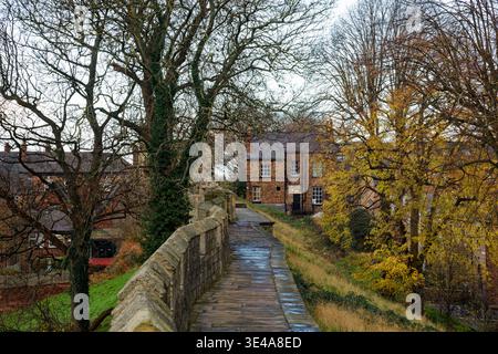 Ein Fußweg folgt der Attika historischer Stadtmauern, während sich einige herbstliche Blätter an den Bäumen in der Nähe der Micklegate Bar, City of York, England, schmiegen. Stockfoto