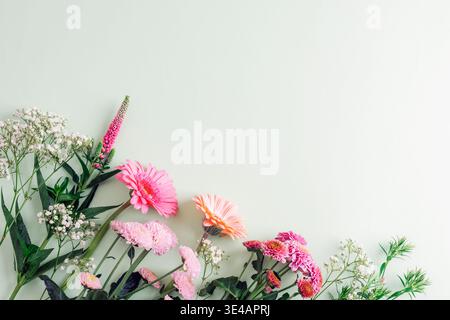 Rosa und weiße Blumen mit grünen Blättern auf hellgrünem Hintergrund. Blumenkomposition mit Kopierraum. Draufsicht, flach. Stockfoto